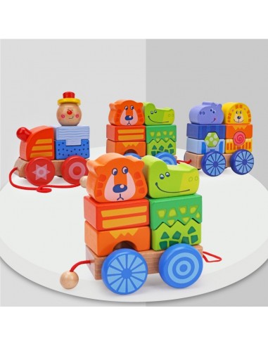 Duży pociąg drewniany zoo