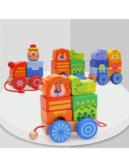 Duży pociąg drewniany zoo