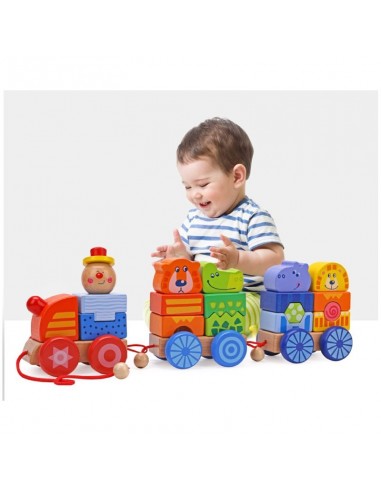 Duży pociąg drewniany zoo