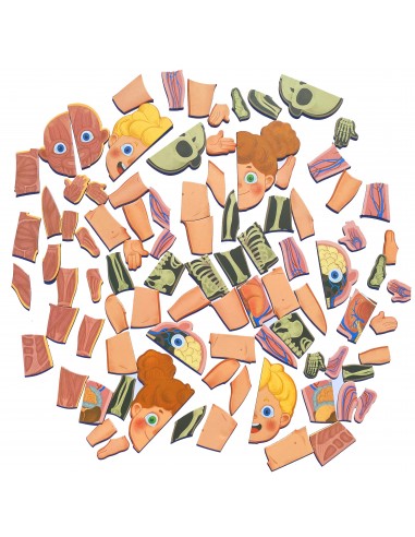 Magnetyczne puzzle ciało człowieka anatomia
