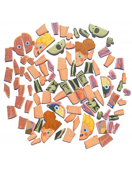 Magnetyczne puzzle ciało człowieka anatomia