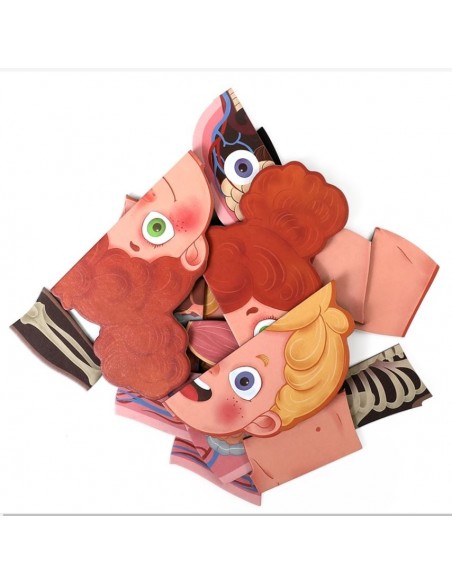 Magnetyczne puzzle ciało człowieka anatomia