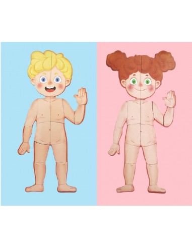 Magnetyczne puzzle ciało człowieka anatomia