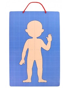 Magnetyczne puzzle ciało człowieka anatomia 2