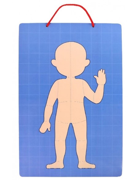 Magnetyczne puzzle ciało człowieka anatomia