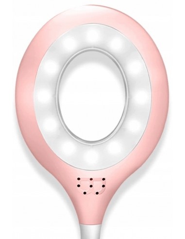 LAMPKA BIURKOWA RÓŻOWA Z POJEMNIKIEM