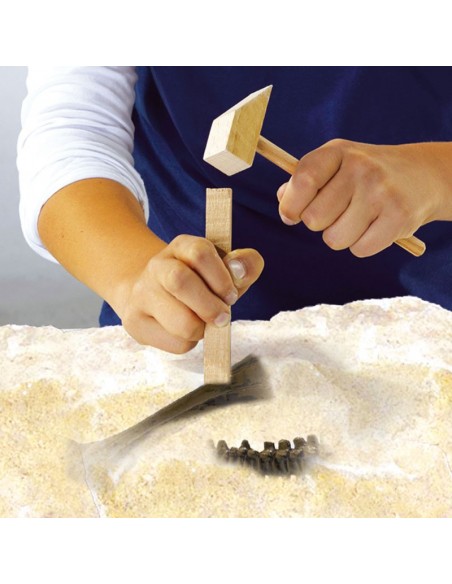 Mały Archeolog-Wykopaliska T-Rex SES