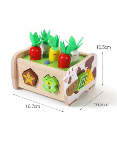 GRA ZRĘCZNOŚCIOWA SORTER MARCHEWKI I...