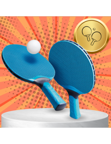ZESTAW DO TENISA STOŁOWEGO PING PONG...