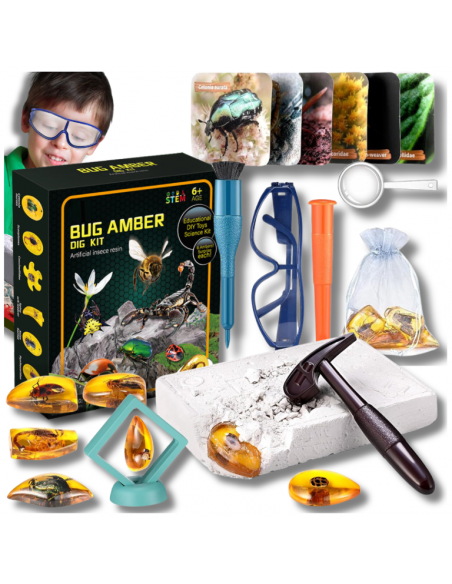 Skamieliny Wykopaliska Owadów w Bursztynie ZESTAW Dla Małych Archeologów