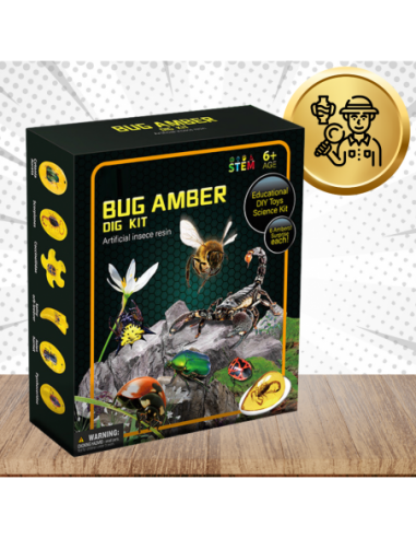 Skamieliny Wykopaliska Owadów w...