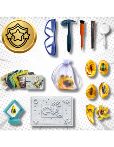 Skamieliny Wykopaliska Owadów w...