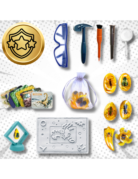 Skamieliny Wykopaliska Owadów w Bursztynie ZESTAW Dla Małych Archeologów