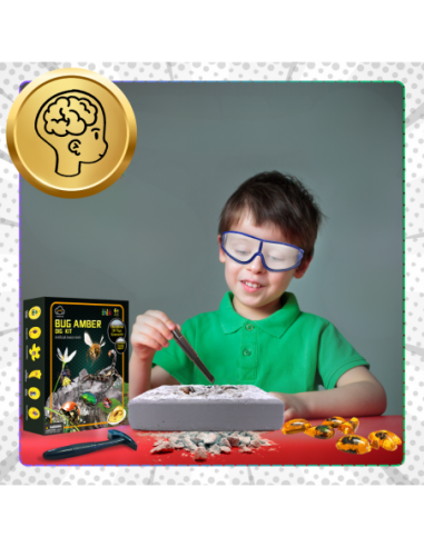 Skamieliny Wykopaliska Owadów w...