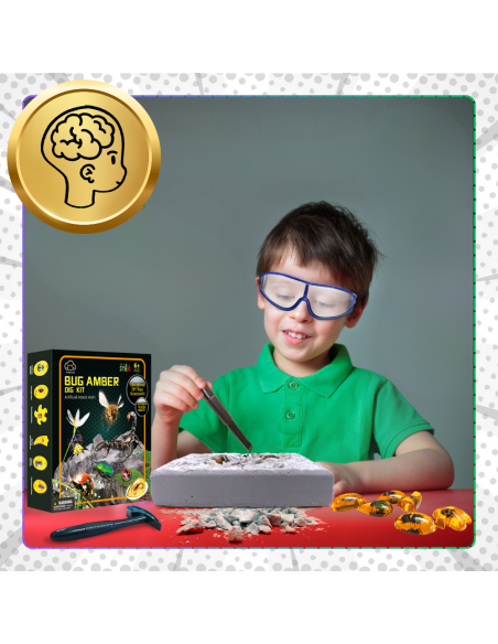 Skamieliny Wykopaliska Owadów w Bursztynie ZESTAW Dla Małych Archeologów