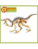 Puzzle 3D kolorowy Velociraptor