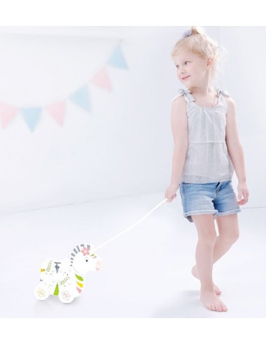 Zebra do ciagania ONSHINE